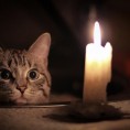 Отключение электроэнергии на Глумилинской, д. 10